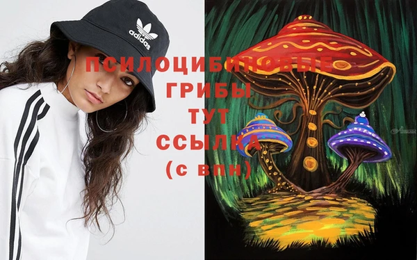 героин Алексин