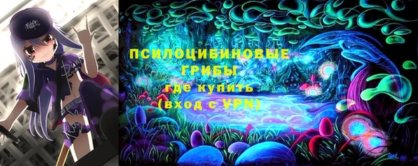 героин Алексин