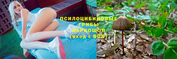 героин Алексин