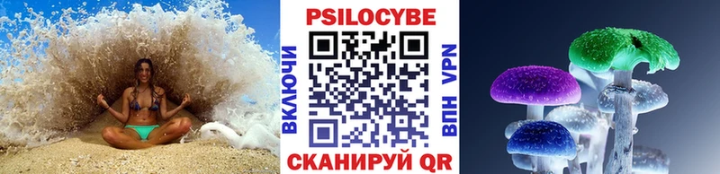 площадка Telegram купить наркотик Игарка Псилоцибиновые грибы мухоморы